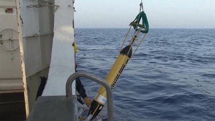 Des morceaux de la carlingue de l'Airbus A320 d'EgyptAir localisés sur "plusieurs sites" - Le 16/06/2016 à 10h02