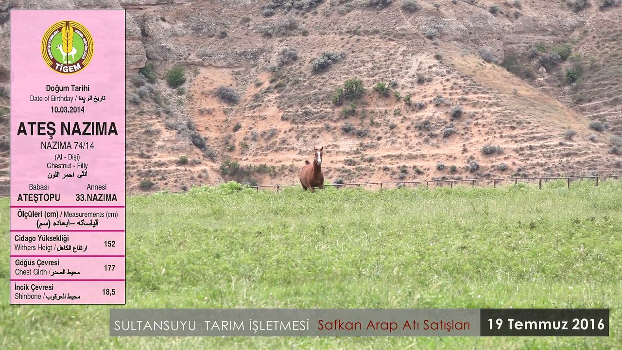 ATEŞNAZIMA