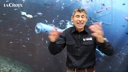 François Sarano : "L'océan , dernier grand territoire sauvage"