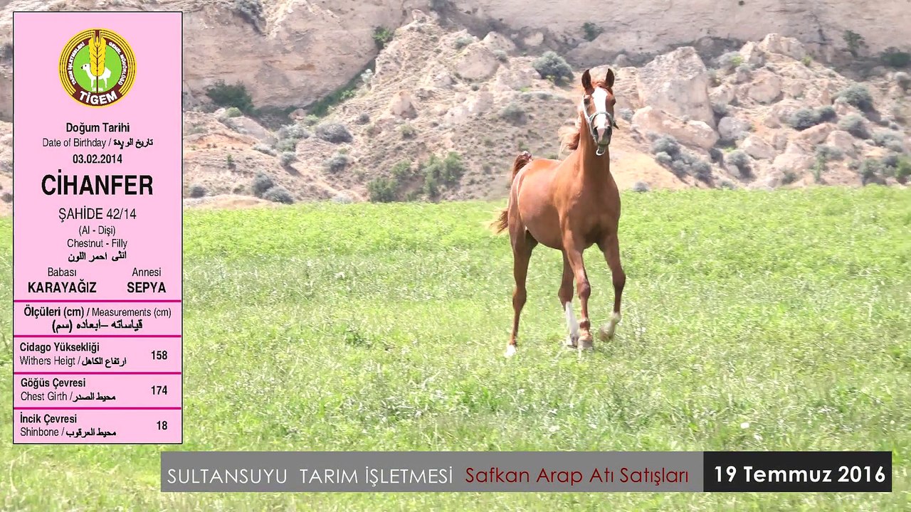 CİHANFER