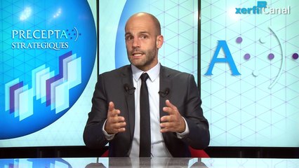 Philippe Gattet, Comprendre les effets de synergies