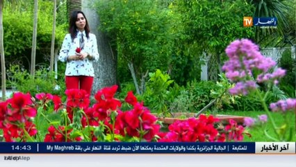 بنة و فائدة   طاجين لحم بالبصل