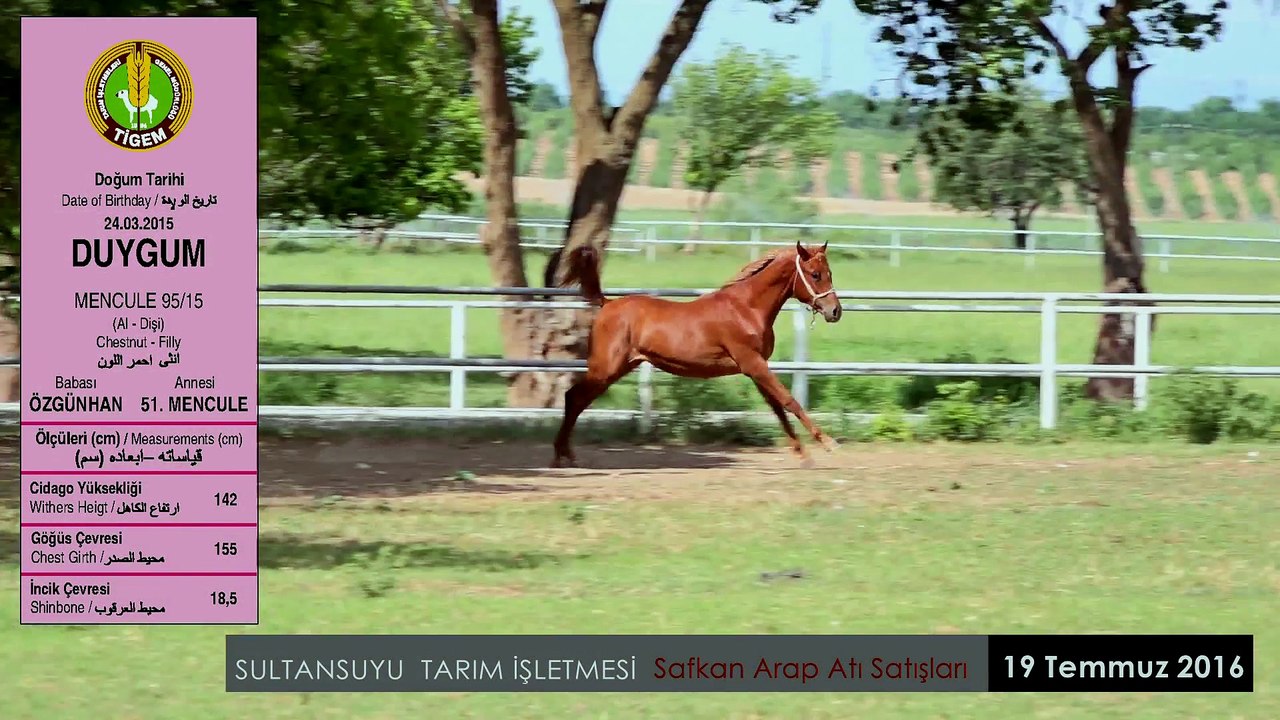 DUYGUM