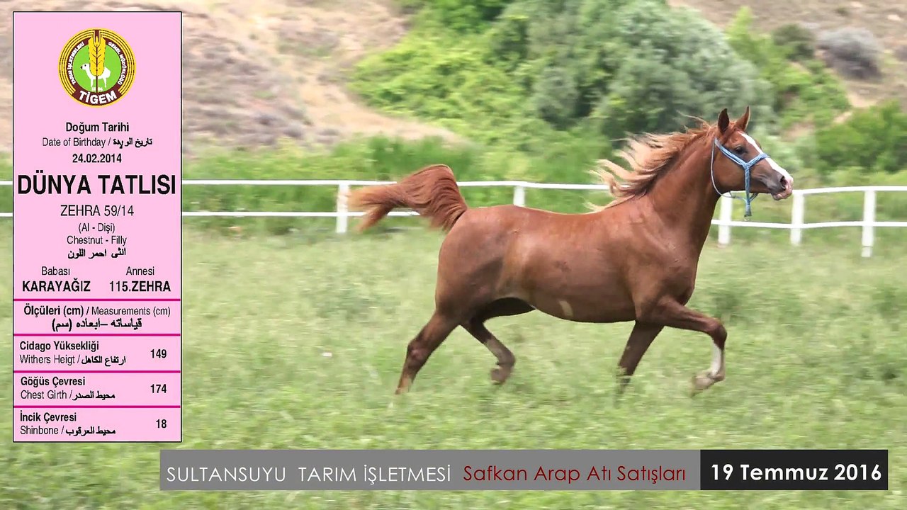 DÜNYATATLISI