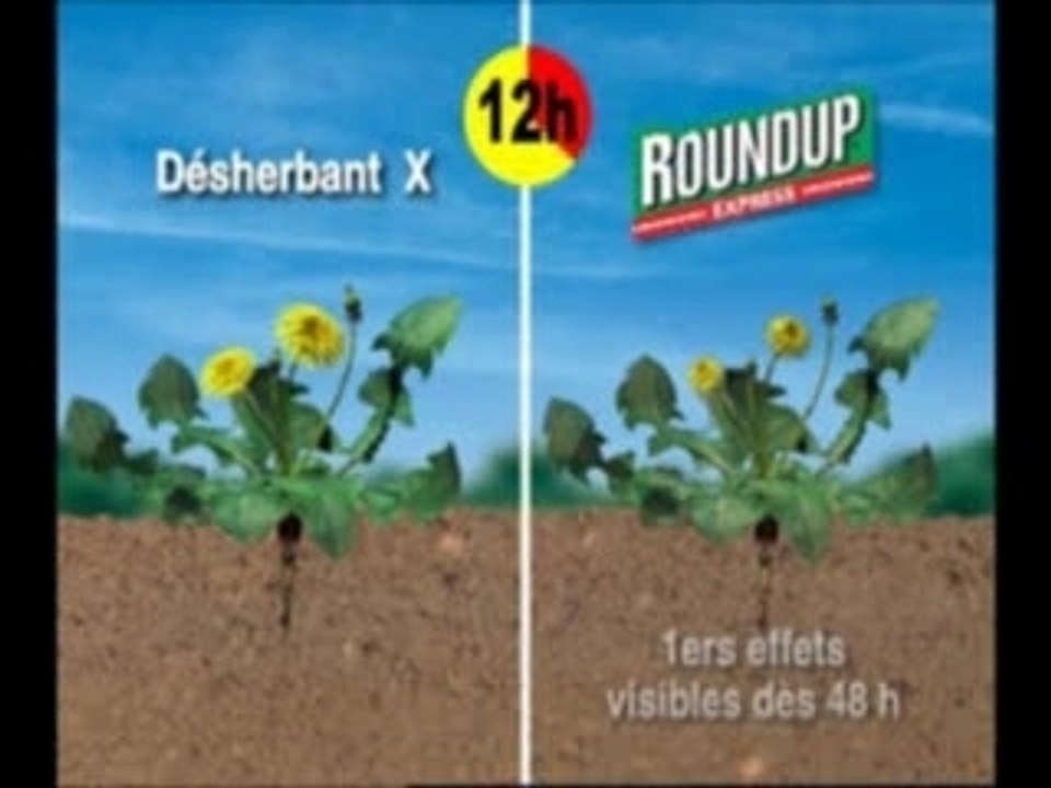 ROUNDUP 2007