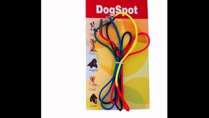 Dog Boarding San Diego