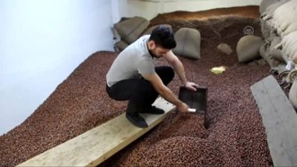 Düşük Fiyat ve Ramazan Fındık Tüketimini Artırdı