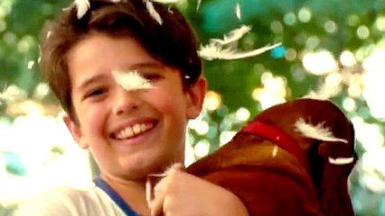 LE TECKEL Bande Annonce VOST (2016)