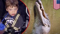 Toddler found dead after Disney World alligator attack