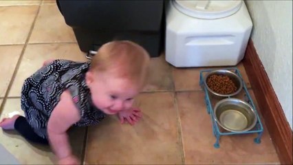 Download Video: Ce bébé veut voler la bouffe du chien