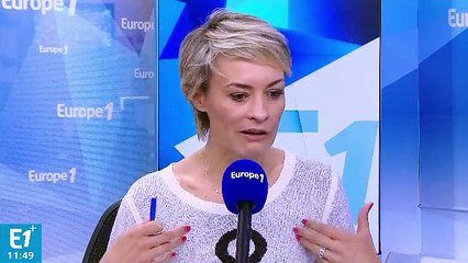 Quels sont les chiens préférés des Français et leurs spécificités ?
