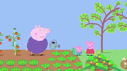 Peppa Pig English Episodes | Lunch (full episode) | Kids Game TV
