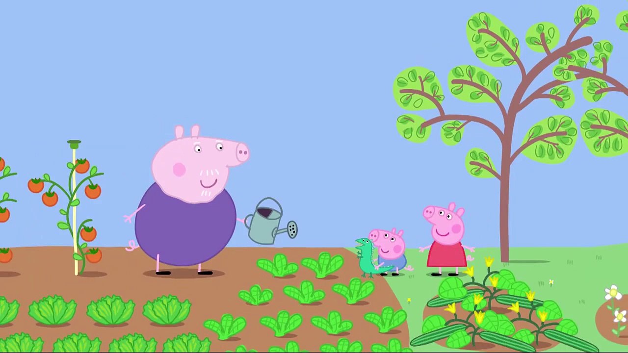 Peppa Pig English Episodes | Lunch (full episode) | Kids Game TV