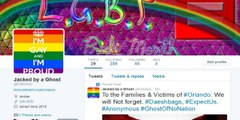 Un hacker rend les comptes Twitter de Daesh gay friendly