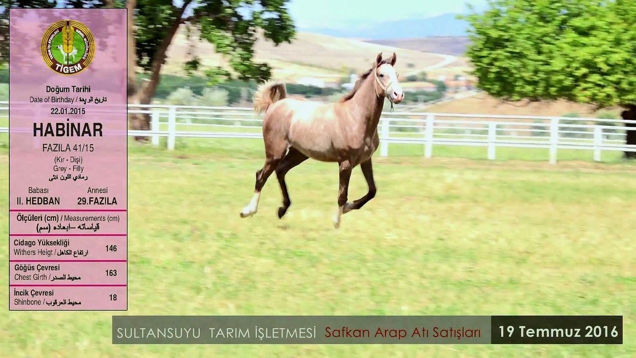 HABİNAR