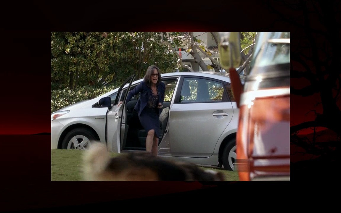 Watch Brothers And Sisters S05 E15 Dailymotion Video