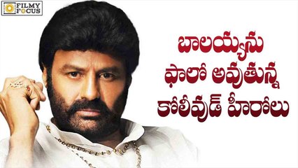 Kollywood Star Heroes Following Balakrishna - Filmyfocus.com