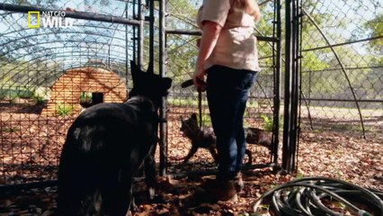 Une maman hors du commun