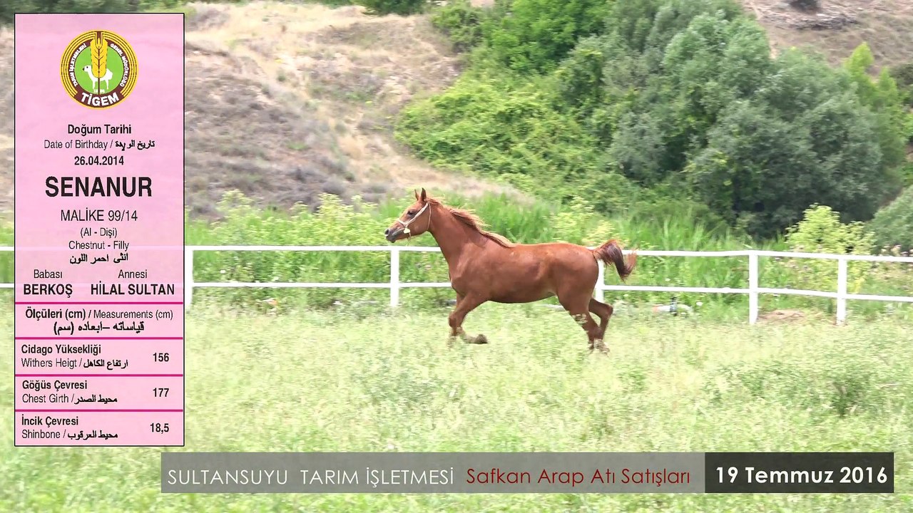 SENANUR