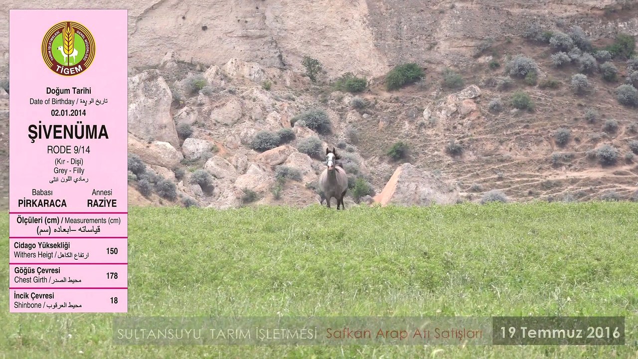 ŞİVENÜMA