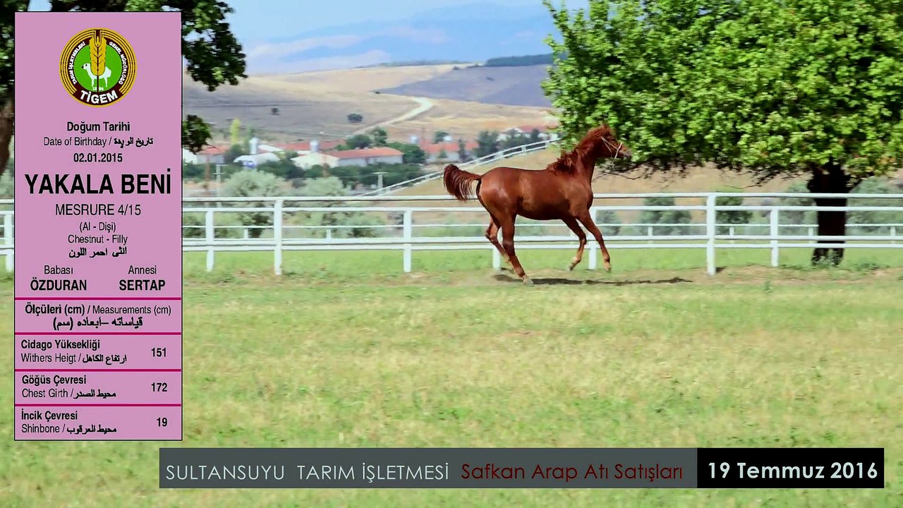 YAKALABENİ