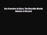 Download Sea Creatures in Glass: The Blaschka Marine Animals at Harvard PDF Free