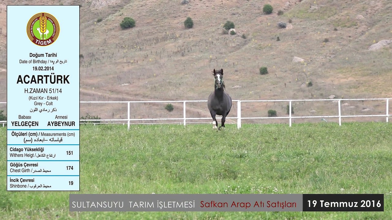 ACARTÜRK