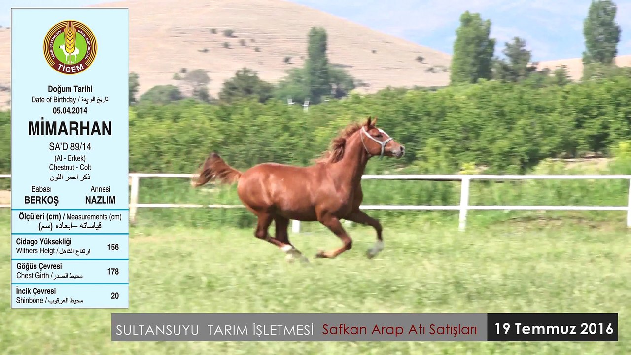 MİMARHAN