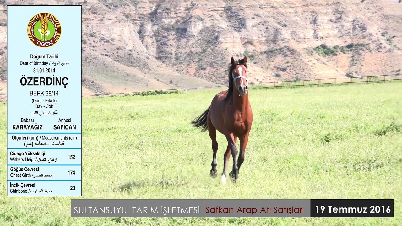 ÖZERDİNÇ