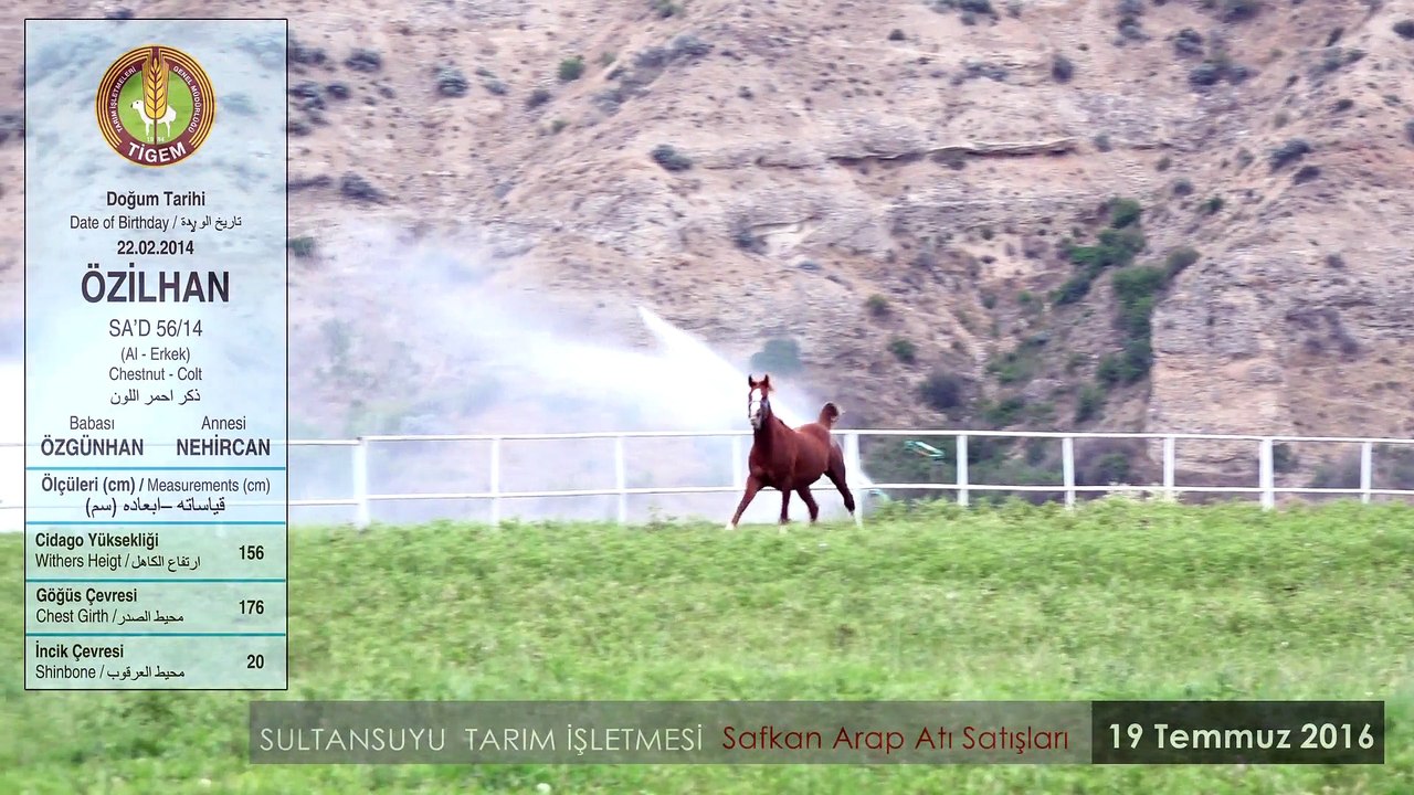 ÖZİLHAN