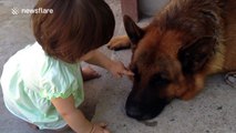 Dog stays calm as baby taunts him