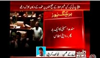 خوفناک لڑائی in sindh Assembly pakistan