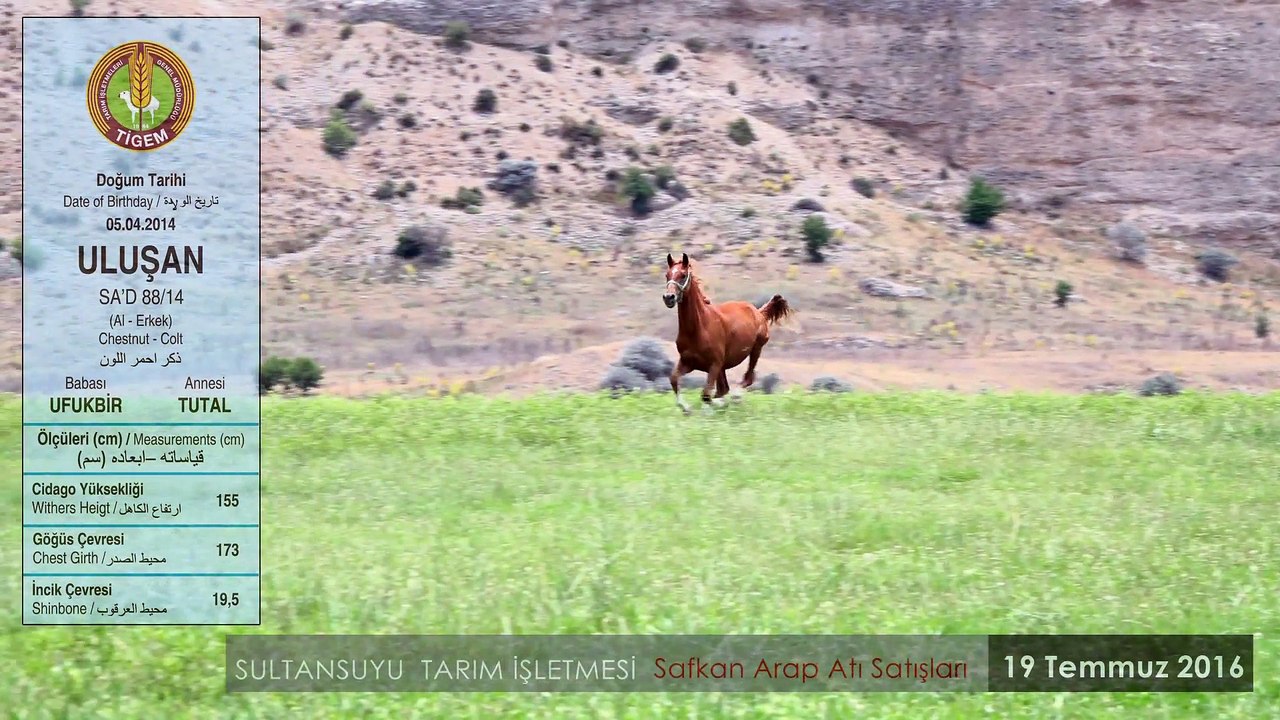 ULUŞAN