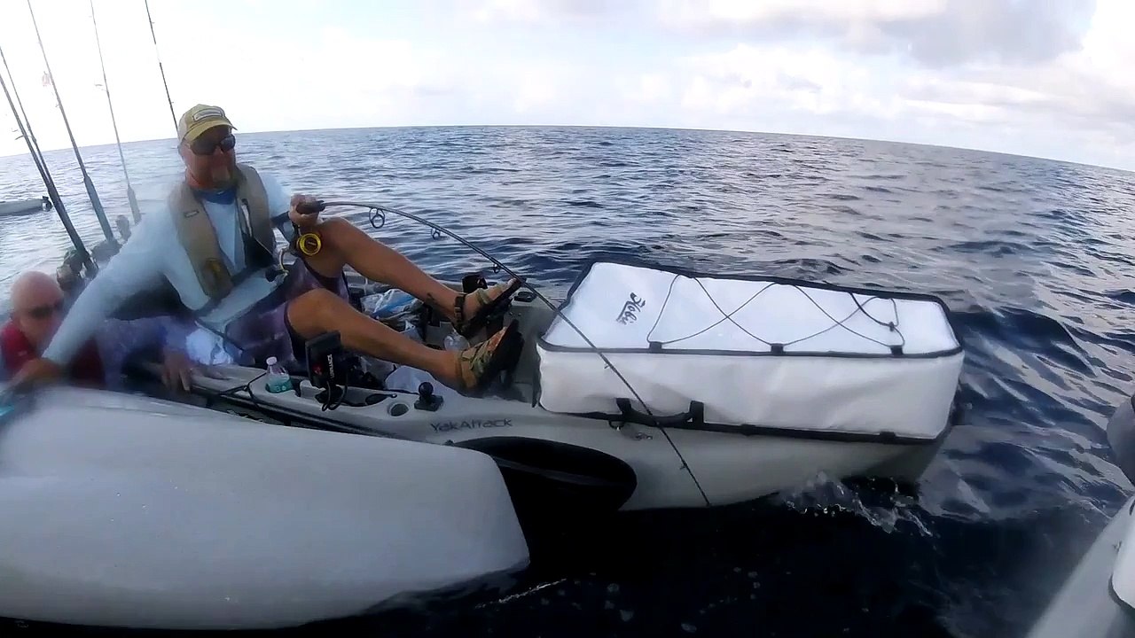Red snapper pulls kayaker overboard