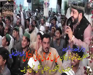 nangal rehman shreef