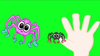 Peppa Pig spider George Crying Finger Family Nursery Rhymes Lyrics new episode 2016 Parody