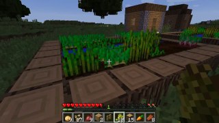 Minecraft #A hardworking farmer/Getting chased by zombies
