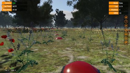 VelociDrone FPV Drone Racing Simulator