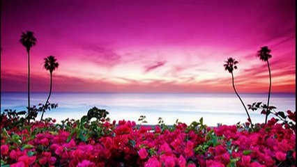 MUSICA DE RELAX,YOGA ,REIKI ( caricias para el corazon) RELAXATION 2H