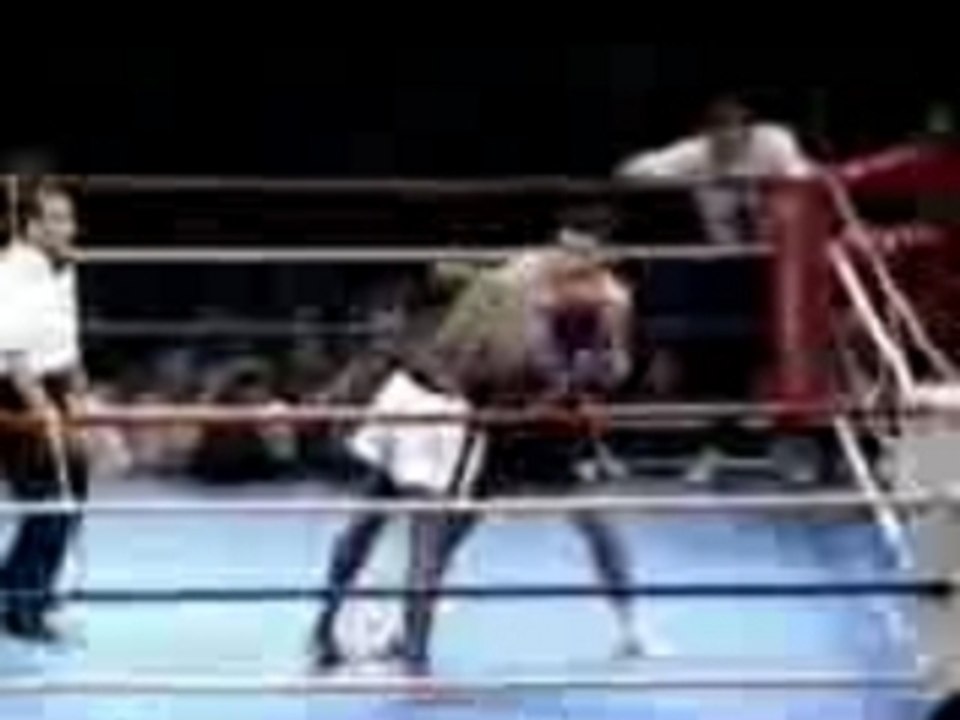 K1 - Jerome Le Banner vs Ernesto Hoost (1996)