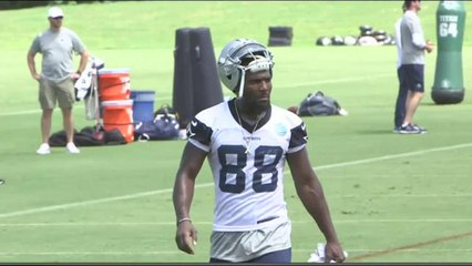 Palmer: Dez Bryant's plans after Cowboys minicamp