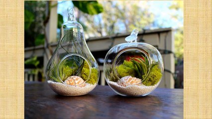 Peluang Usaha Kreatif, Unik dan Menjanjikan - Terrarium