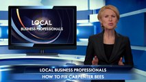 Fix Carpenter Bee Infestation | Universal Pest Control (386) 868-4557