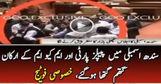 Sindh Assembly – PPP And MQM MPAs Get Physical During Proceedings