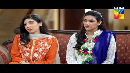 Haya Ke Daman Mein Eds 56 L    Hum TV Drama 16 June 2016