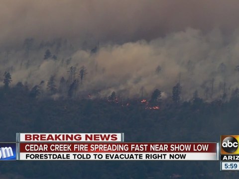 Cedar Creek Fire spreading fast near Show Low
