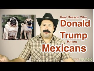 The Real Reason Trump Hates Mexicans #AskTiburcio