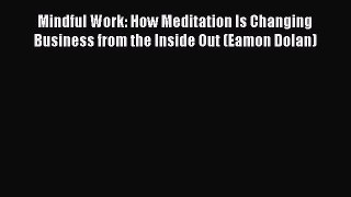 Download Mindful Work: How Meditation Is Changing Business from the Inside Out (Eamon Dolan)