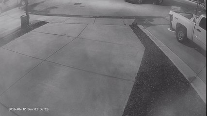 Giant Coffee Cups - First Visit (June 12 01:56AM)