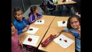 Experimentando con las fresas (Infantil y Primer ciclo de Primaria)